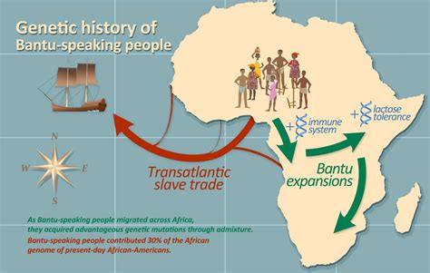 The Great Trek: 15th Century Bantu Migrations and the Rise of Powerful Kingdoms in Southern Africa